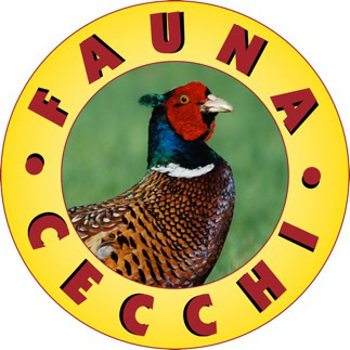 LOGO CECCHI