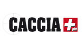 caccia