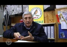 Intervista a Busana e Marini ACL