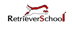 RetrieverSchool