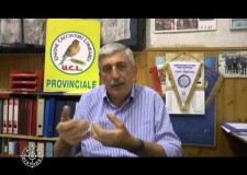 Intervista al Presidente Carlo Bravo sull’ISPRA