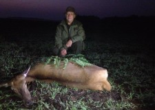 Caccia in Ungheria: l’emozione della caccia alla vera selvaggina.