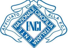 ENCI: importanti cambiamenti nel Consiglio. Sfiduciato il Presidente Balducci.