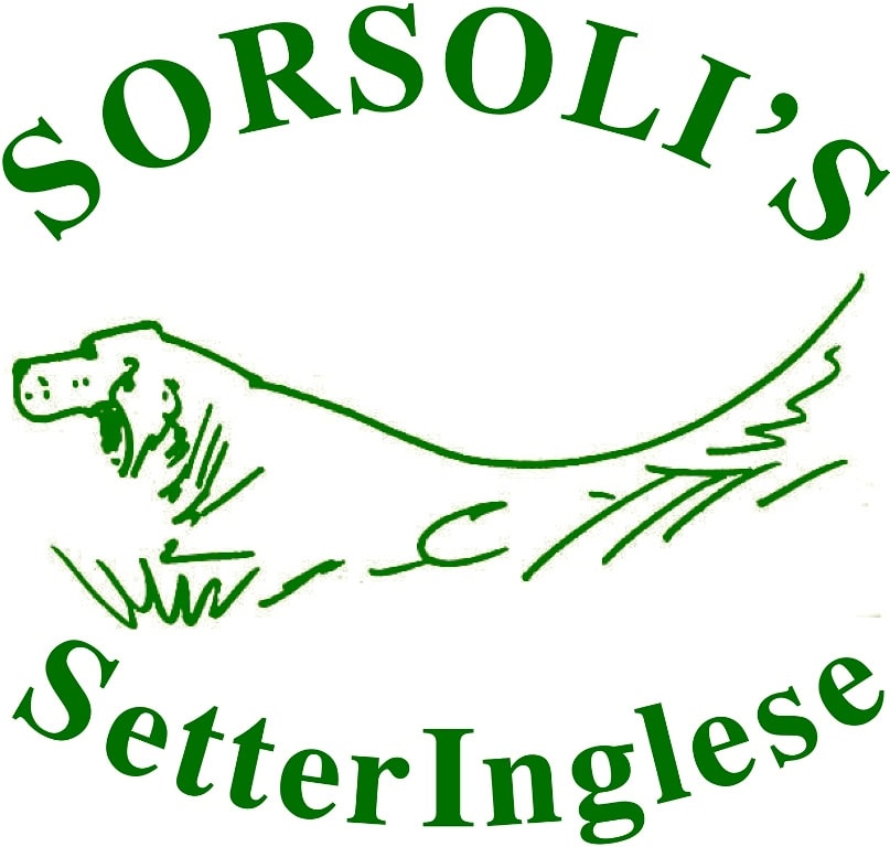 sorsoli's logo