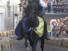 Quando il cinghiale incontra il cavallo