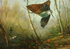 L’alba nel Bosco delle Fate