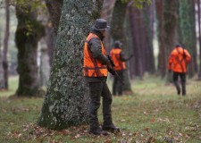 Danni da fauna selvatica- cinghiali : "impensabile che siano a carico nostro !" 