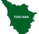 Selezione cinghiale in Toscana – interviene la Cabina di Regia