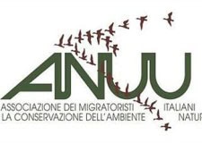 Anuu – Castellani: “Il merito è di tutti”