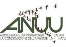 Il meteo influenza il passo dei migratori.