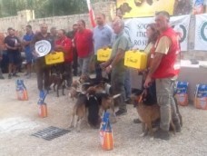 Cinofilia: l’anno di Mentuccia, un segugio maremmano di 4 anni.