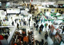 “Panem et circenses”: l’attacco di Berlato