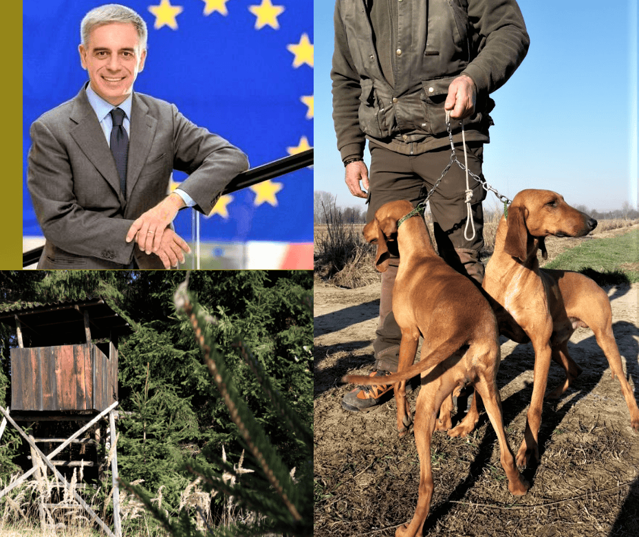 Stefano Maullu petizione contro vioolenze su animali Caccia e Dintorni