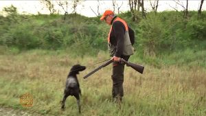 La caccia con il cane da ferma