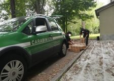 Bracconaggio operazione dei Carabinieri Forestali di Bresca