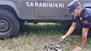 Bracconieri - operazione dei Carabinieri Forestali