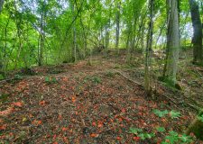 Tav abusivo - formazione di una vera e propria discarica abusiva a cielo aperto di rifiuti speciali pericolosi