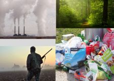 Fiocchi- diventa sentinella dell'ambiente e della natura