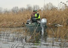 Giornata ecologica nella Riserva Naturale delle Torbiere