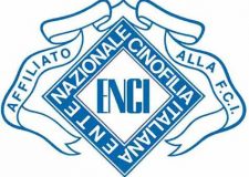 ENCI FA I CONTI CON IL CORONAVIRUS