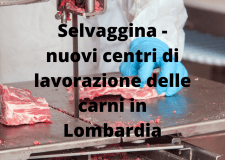 Selvaggina – Nuovi centri di lavorazione carni in Lombardia