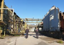 Bilancio dell' attività dei Carabinieri Forestali in Lombardia nel 2021