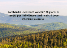 Sentenza VALICHI : ultimatum del TAR lombardo