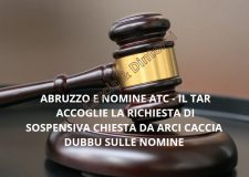 Abruzzo e nomine ATC : il TAR accoglie la richiesta di sospensiva di Arci Caccia