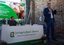 Confagricoltura Brescia : peste suina alle porte