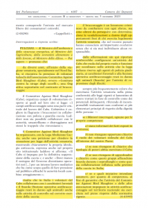 Interrogazione parlamentare sulla presenza e sul ruolo dei CABS al fianco dei Soarda