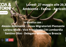 Ambiente, fauna e agricoltura