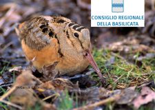 Basilicata – approvato il calendario 2025 / 26