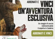 Prova a vincere una vera esperienza venatoria in Calabria!