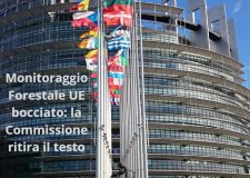 Monitoraggio Forestale UE bocciato: la Commissione ritira il testo