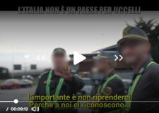 Iene: attacco alla caccia con la complicità delle guardie volontarie