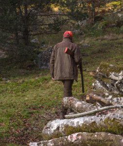 Stagione 2025/26: un bilancio tra attese tradite e battaglie legali