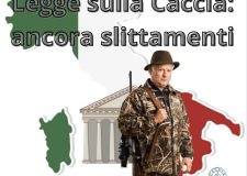 Riforma della Legge sulla Caccia: Un Lento Avanzamento