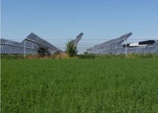 Agrivoltaico: Opportunità o Illusione Green? Il Confronto Tecnico-Politico Promosso da Federcaccia