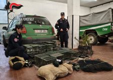 Cattura Uccelli: Forestali Denunciano Allevatore 79enne
