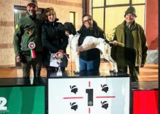 Settimana Sarda del beccaccino 2026