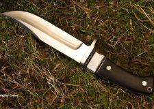 Giuseppe De Maria - Direttore Editoriale C&D