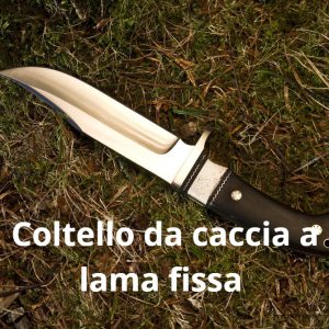 Porto Coltelli: Ok del Senato per la correzzione