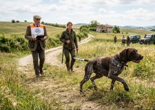 ENCI-Brambilla: perché nessuno ha vigilato?