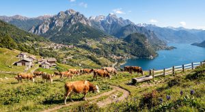 Legge Montagna: il piano per far rinascere i territori