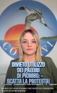 Piombo – La Presidente di Confavi contro la Cabina di Regia