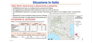 Mixomatosi: la risposta di FIDC all’emergenza sanitaria